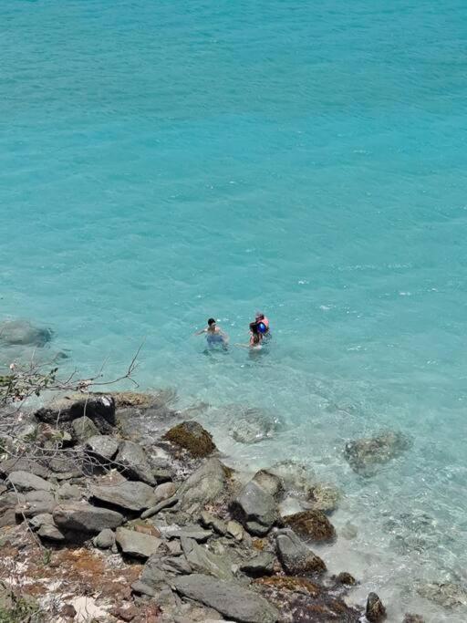 Sailfish Villa Luxury Beachfront Estate Magens Bay Cruz Bay Buitenkant foto